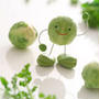 三豆兄弟さん