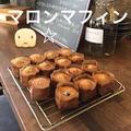 サメ子さん