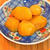 ロッキン家の栗の甘露煮