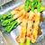 旬な野菜!!ステックセニョールのピリ辛肉巻き&マヨ味噌焼き