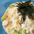 うに的☆濃厚クリームパスタ