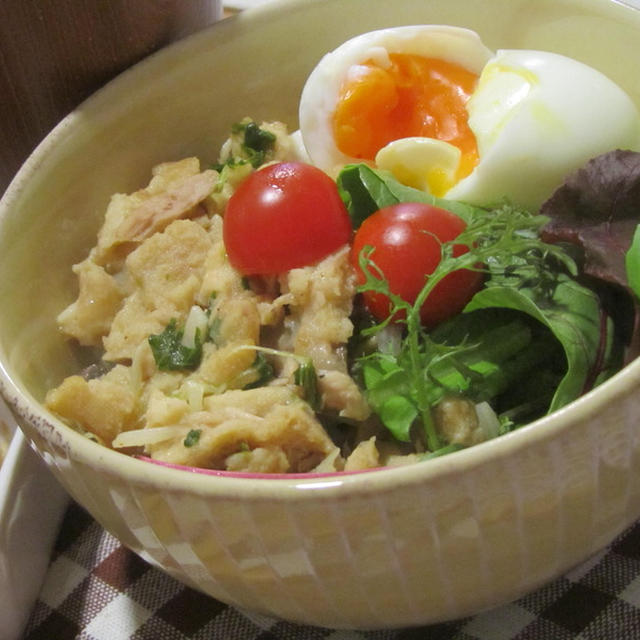 高野豆腐のそぼろ丼☆焼き肉たれ丼☆