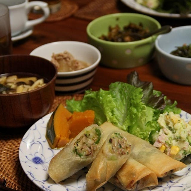 野菜たっぷり春巻き・プレート と 大根の鶏そぼろ煮。