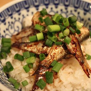 オイルサーディン丼