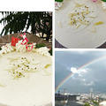 レッスンはトレニアを飾って「レモン蜂蜜ヨーグルトムースケーキ」・・大きな虹が出ました!!