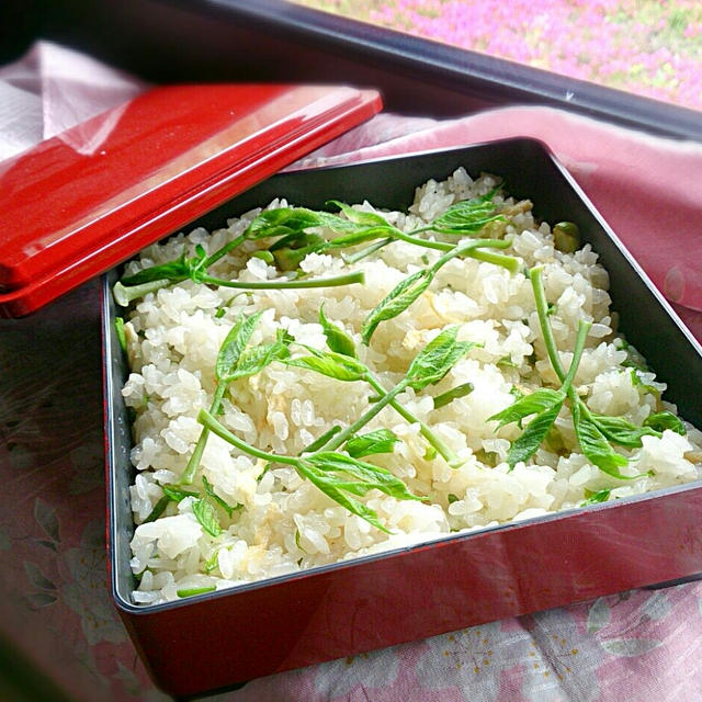 こしあぶらご飯