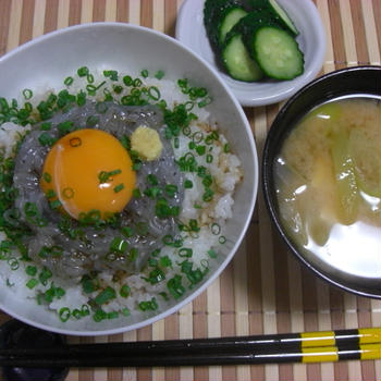 ☆生シラス丼