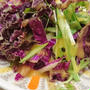 紫白菜のサラダ