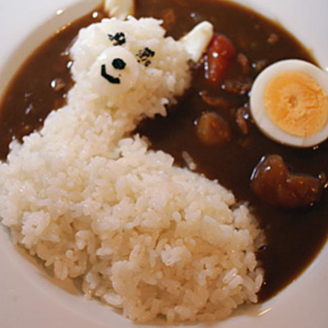 アルパカカレー作ったよー。