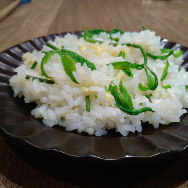 こしあぶらご飯