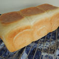 YOGA角食パン