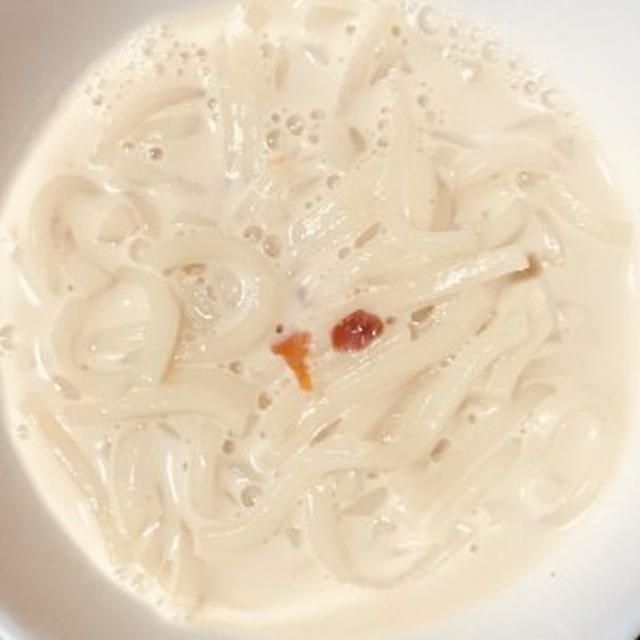 母親の介護食・嚥下食に豆乳坦々うどんを作り一緒に食べてみました