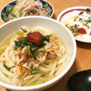 鶏ささみとしょうがの白だしうどん