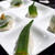 夏のごちそう　野菜のお寿司