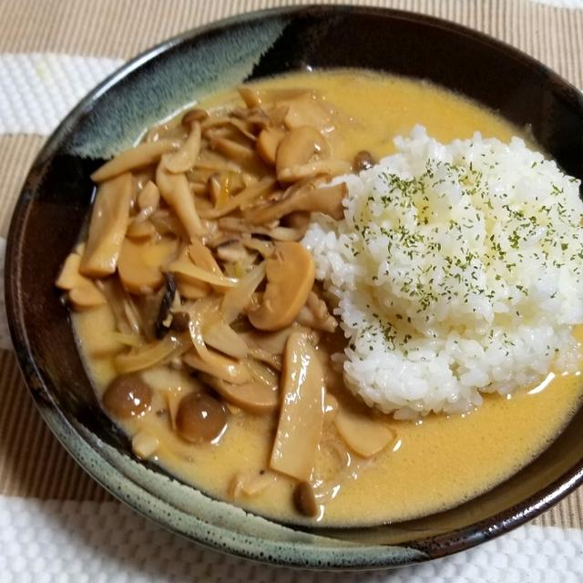 キノコストロガノフ