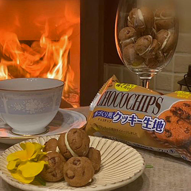 冷凍ムーンライトチョコチップ生地でコロンと可愛い「バーチ・ディ・ダーマ」を焼いてみました!!