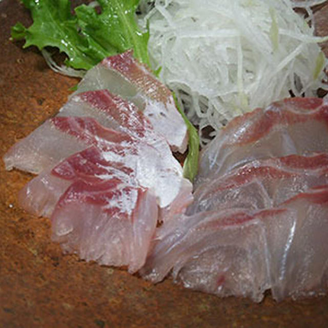 珍魚いろいろ！