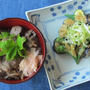 牛丼＆茄子とオクラと葱の和風サラダ