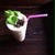 バナナ酵素スムージー