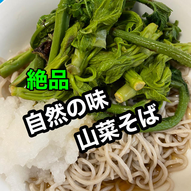 野生味溢れる山菜そば By Kazusigeさん レシピブログ 料理ブログのレシピ満載