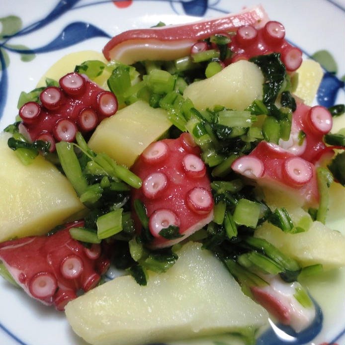 シャキシャキ京野菜！「壬生菜（みぶな）」を使う人気レシピ15選の画像