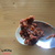 自家製豆板醤はこうやって作るんです