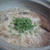 シメは　にゅうめん