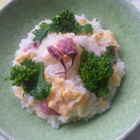 春☆満開！和風リゾット