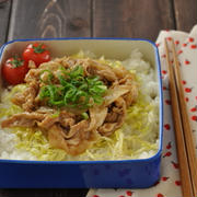 節約！和風カレーのっけ弁当