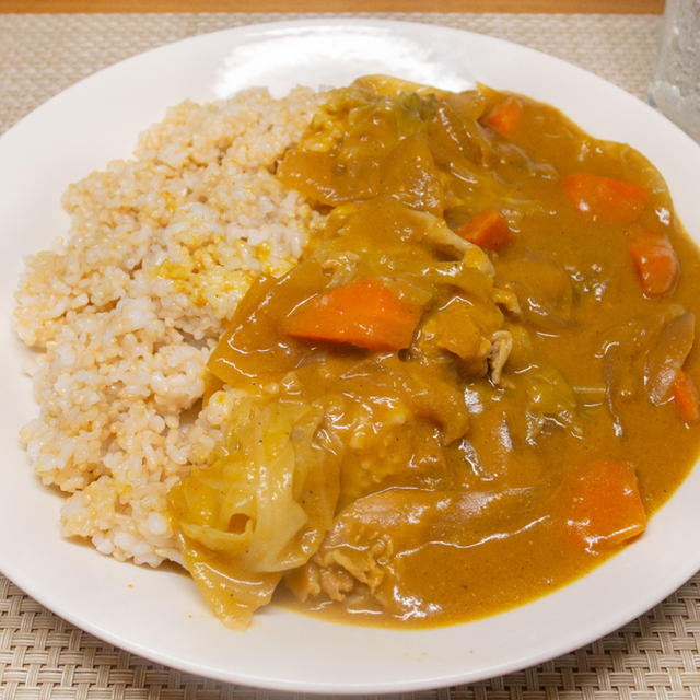 豚汁カレー