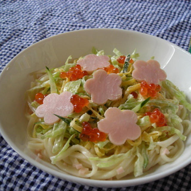 雛ちらしサラダうどん