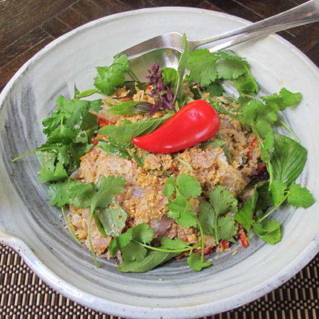 タイ料理のポットラック&タイ風白身魚のセヴィチェ　　1・20・2013