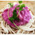 ベトナム自炊生活３５　紫山芋とバインカンで冷やしとろろうどん！！