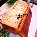 自家製天然酵母で角食パン パン シュープリーズ