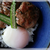 青紫蘇た～っぷり簡単つくね丼♪