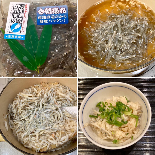 琵琶湖の冬の味覚　氷魚ご飯