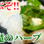 ご飯が足りなくなる！合法ハーブ☆バジルのニンニク麺つゆ漬けがヤバい
