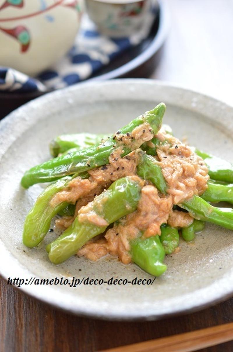 簡単５分！「しし唐とツナのにんにくマヨぽん」＋よく作るしし唐料理３つ