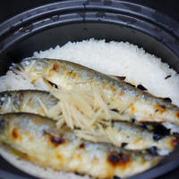 鮎ご飯の日♫