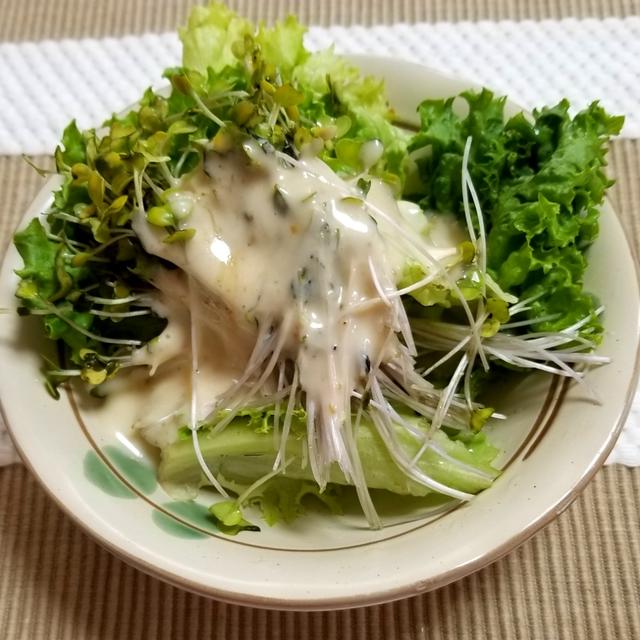 ブロッコリースプラウトのサラダ By 春菜食堂さん レシピブログ 料理ブログのレシピ満載