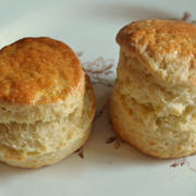 sconemaniaさん