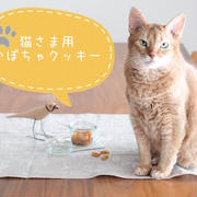 【猫様用おやつ】かぼちゃのしっとりクッキーレシピ