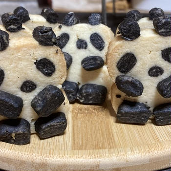 ちびっこパンダのお座りクッキー🐼