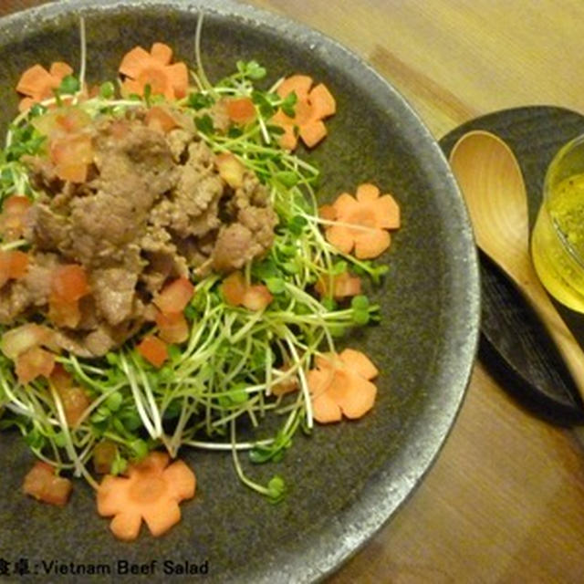 Vietnam Beef Salad