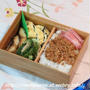 常備菜deらくらくお弁当　＆　今日のお弁当は　焼き塩鯖