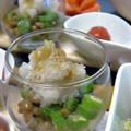 納豆おくらのおろし添え柚子胡椒風味