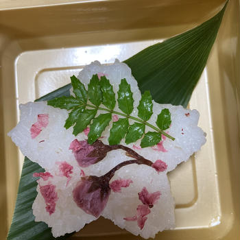 桜型抜きご飯のお花見弁当