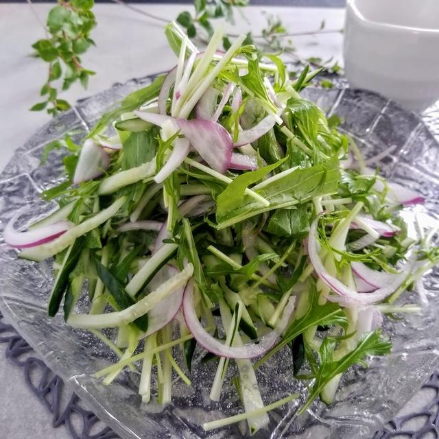 うっとおしい梅雨時期の食卓☂水菜と紫蘇のサラダ　