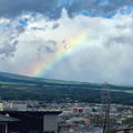昨日は富士山麓に虹がかかって綺麗!!バジルを摘んで乾燥バジル作り～