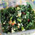 手揉みケールサラダ　Kale Salad